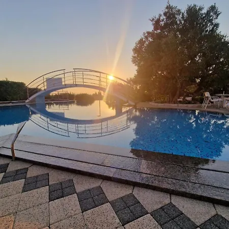 Marinic 普利莫顿