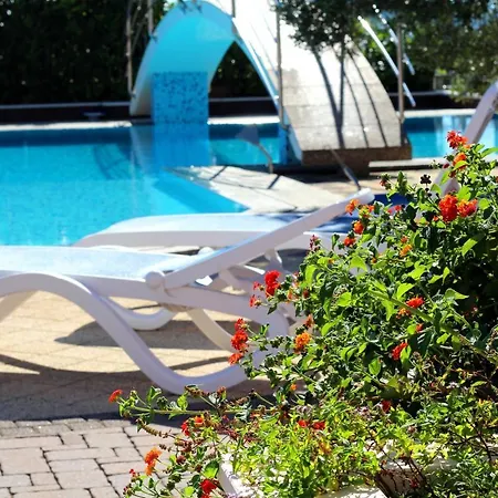 Marinic * 프리모스턴